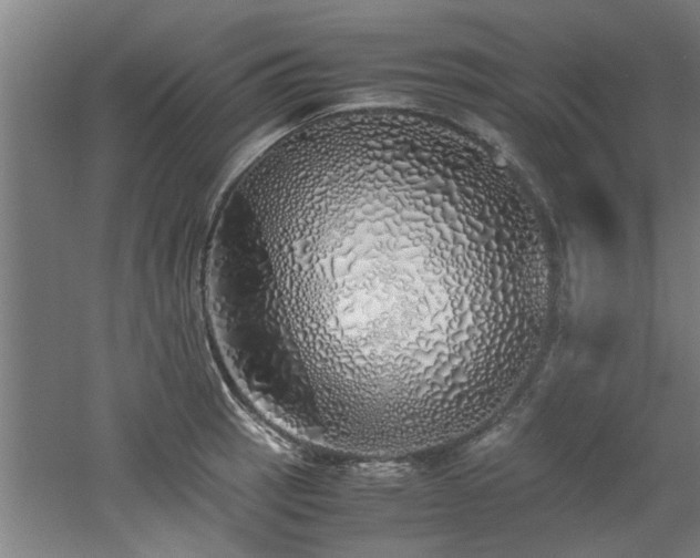 X0000060781137200511101333