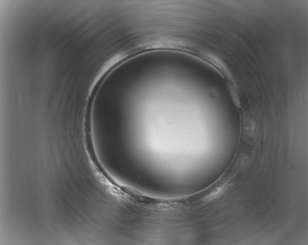 X0000060781138200511101333