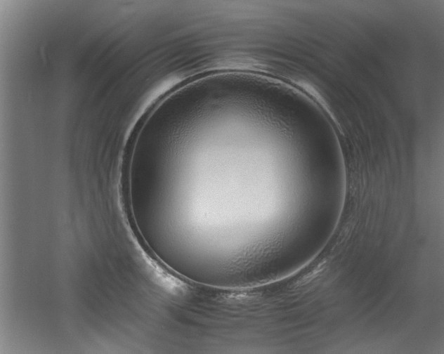 X0000060781139200511101333