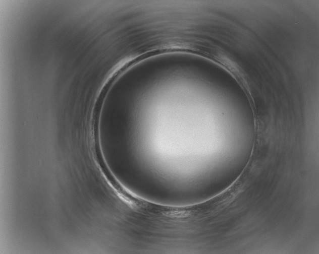 X0000060781141200511101333