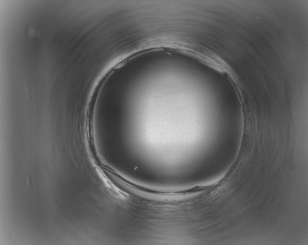 X0000060781144200511101333