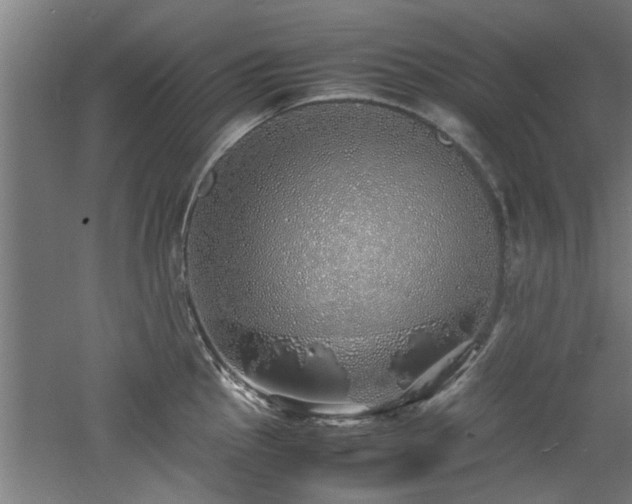 X0000060781145200511101333