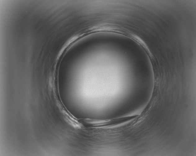 X0000060781146200511101333