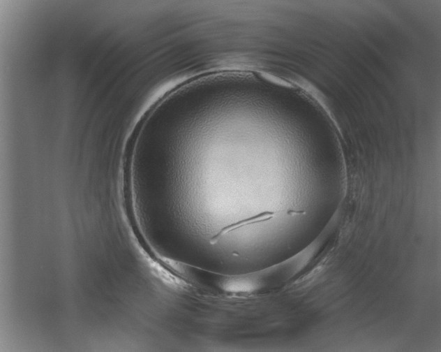 X0000060781147200511101333