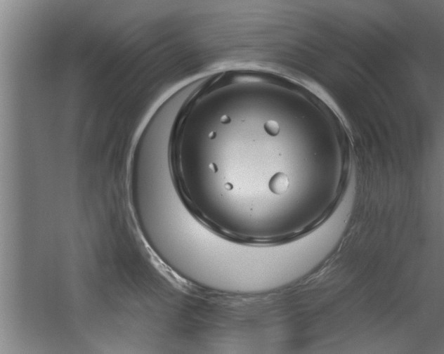 X0000060781148200511101333