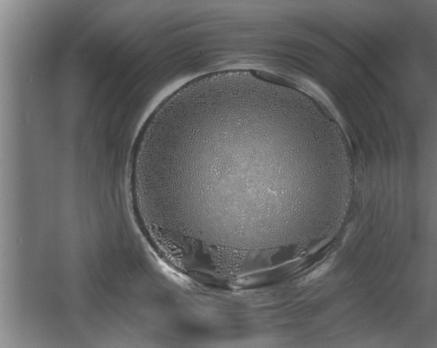 X0000060781149200511101333