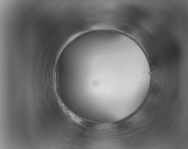 X0000060781150200511101333