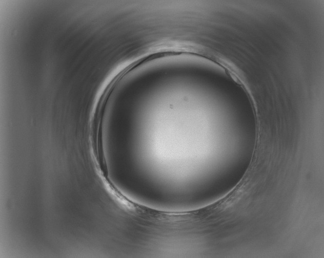 X0000060781152200511101333