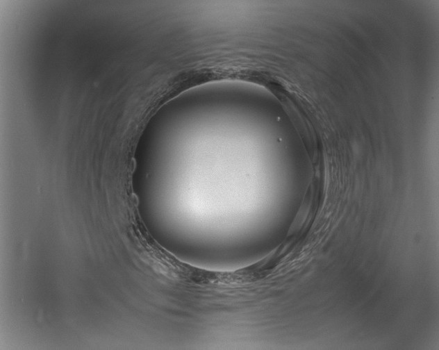 X0000060781153200511101332