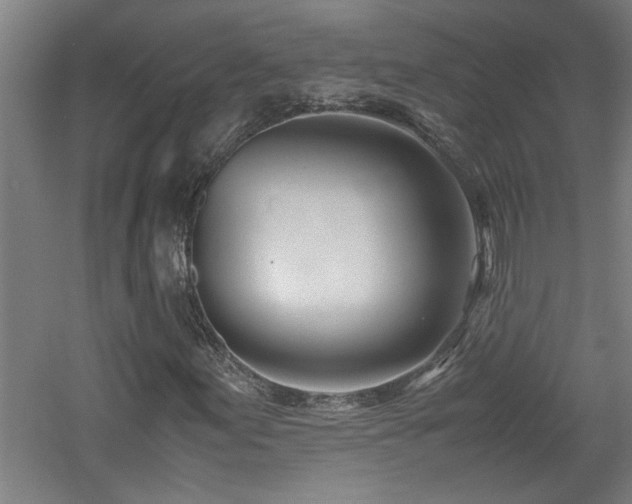 X0000060781155200511101332