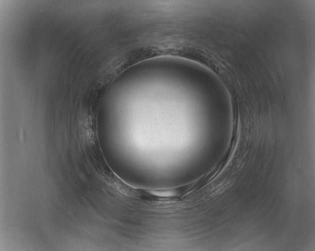 X0000060781156200511101332