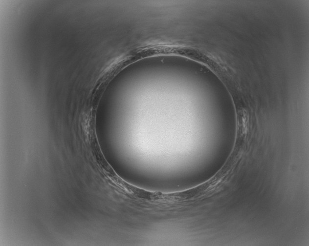 X0000060781157200511101332