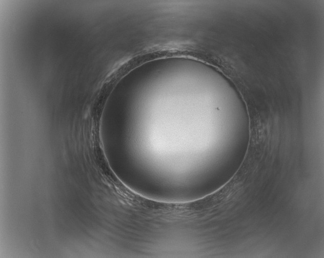 X0000060781158200511101332