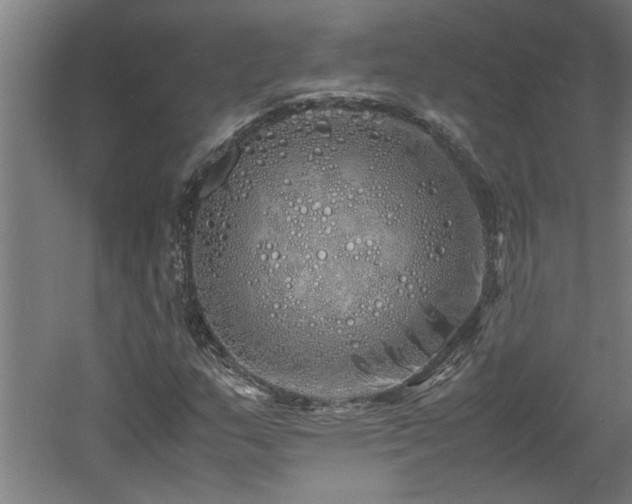 X0000060781159200511101332