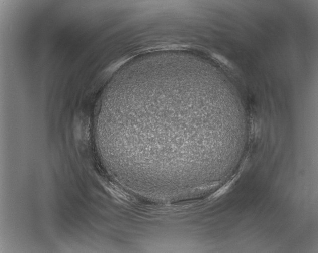 X0000060781161200511101332