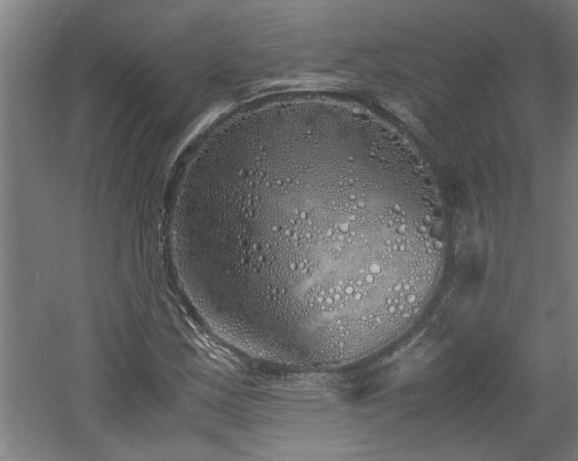 X0000060781163200511101332