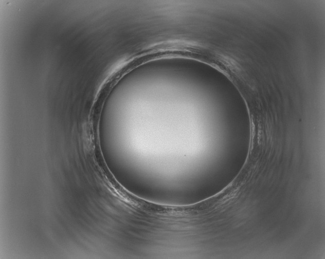 X0000060781164200511101332