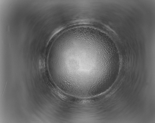 X0000060781166200511101332