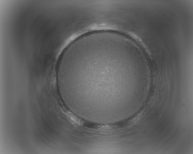 X0000060781167200511101332