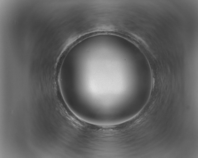 X0000060781168200511101332