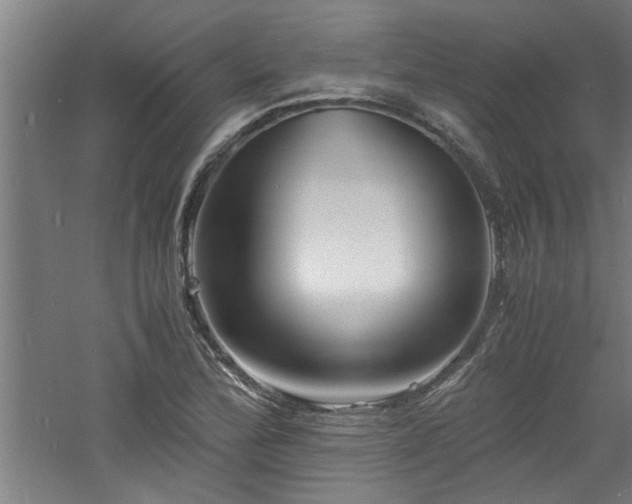 X0000060781172200511101332