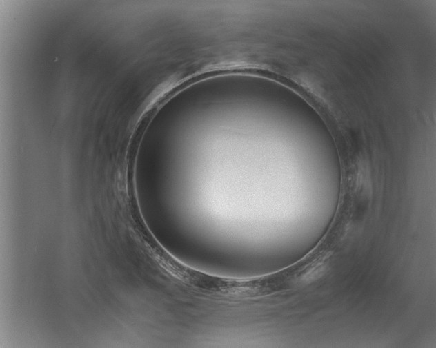 X0000060781173200511101332