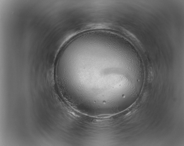 X0000060781174200511101332