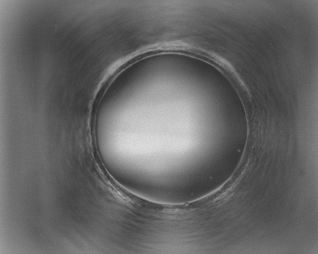 X0000060781176200511101332