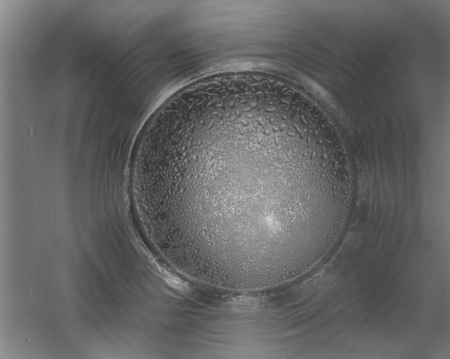 X0000060781178200511101332