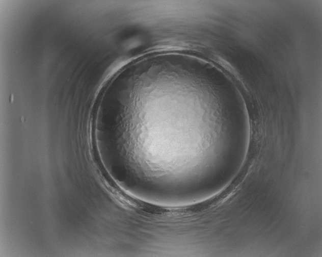 X0000060781179200511101332