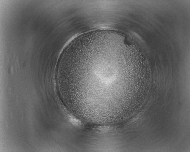 X0000060781182200511101332