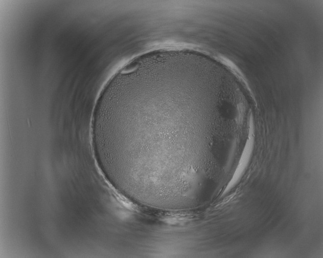 X0000060781183200511101332