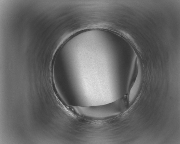 X0000060781184200511101332