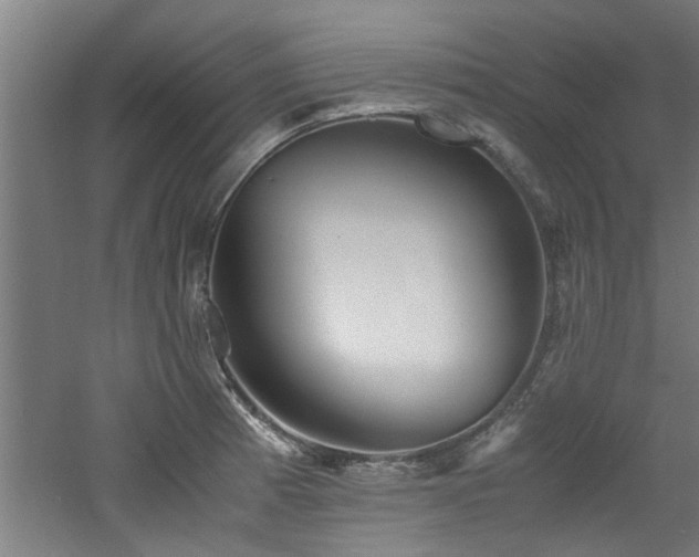 X0000060781185200511101332