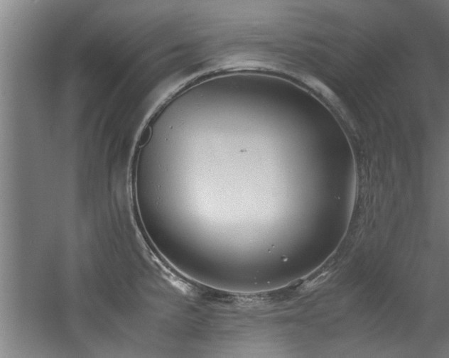 X0000060781191200511101332