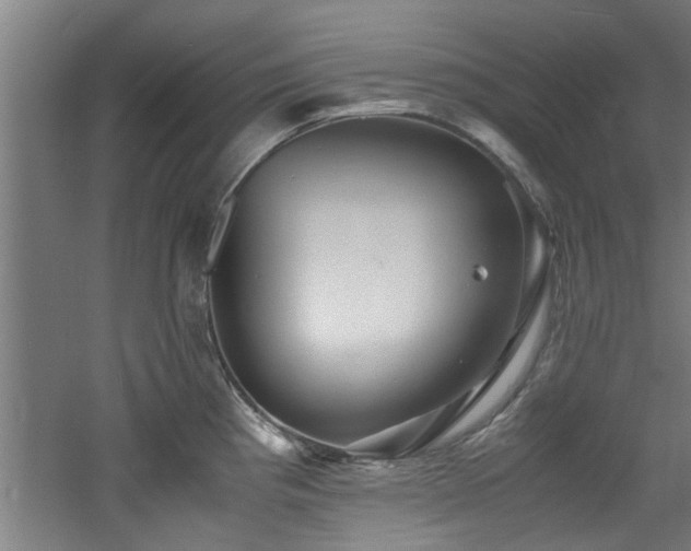 X0000060781193200511101331