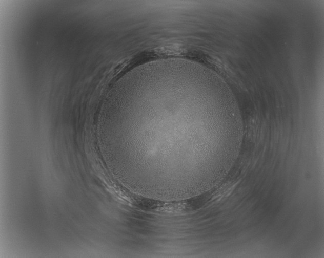X0000060781201200511101331