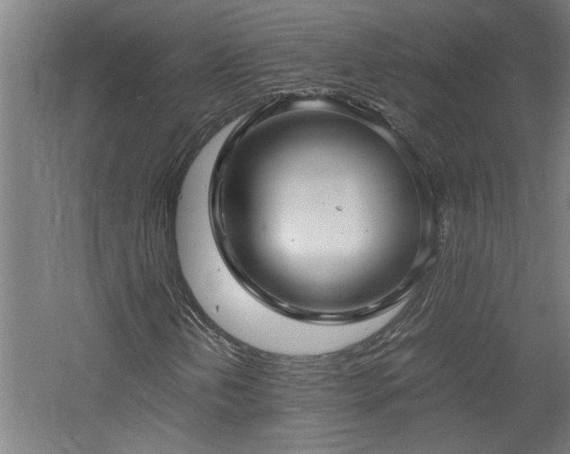 X0000060781202200511101331
