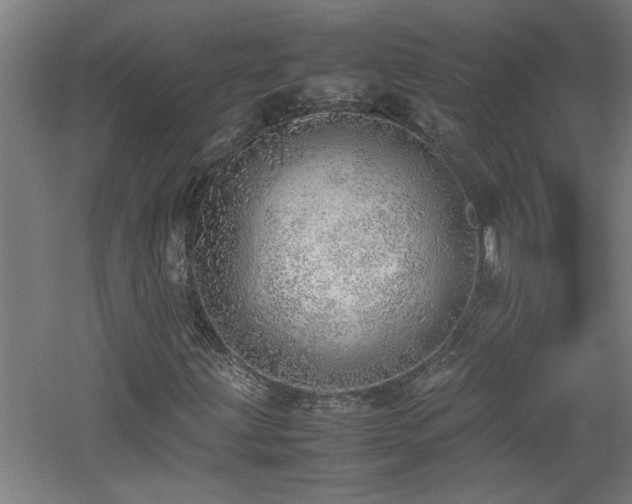 X0000060781203200511101331