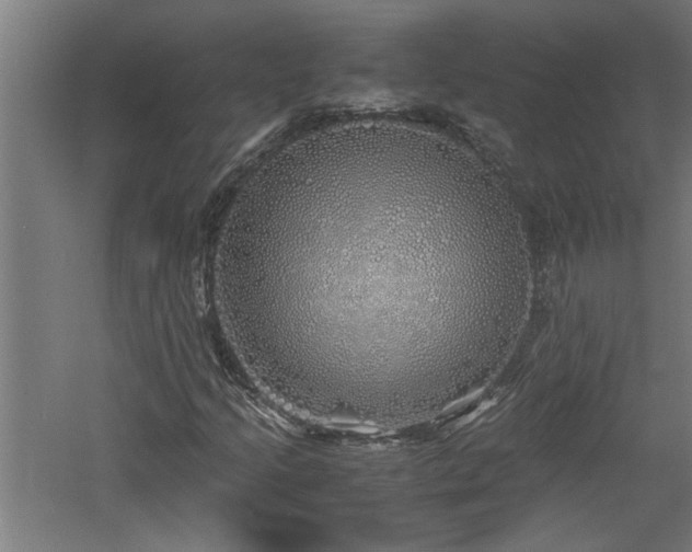 X0000060781205200511101331