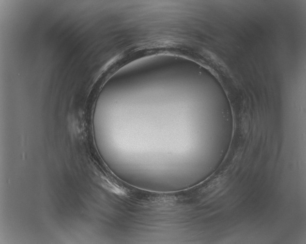 X0000060781210200511101331