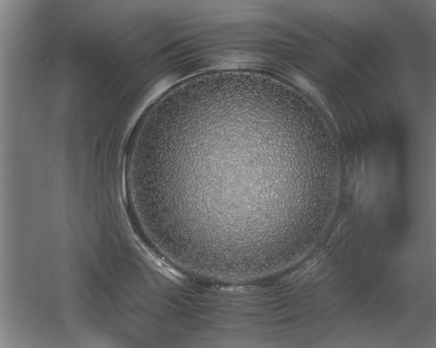 X0000060781227200511101331