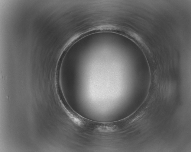 X0000060781229200511101331