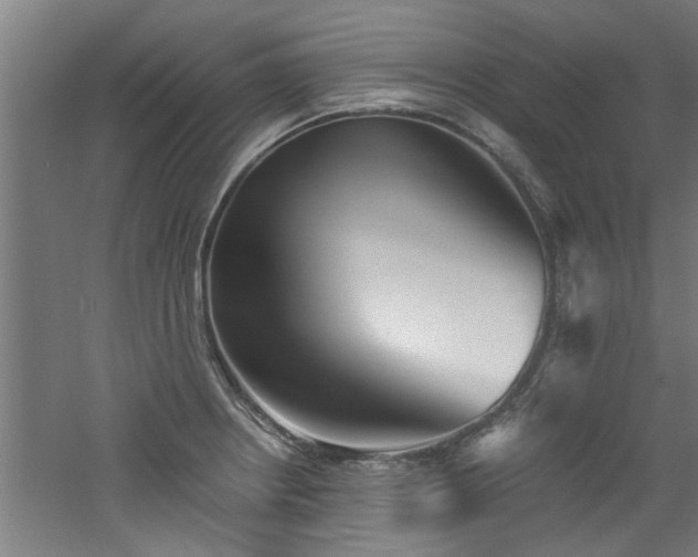 X0000060781234200511101331