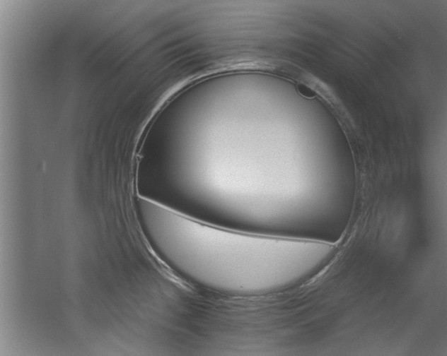 X0000060781236200511101331