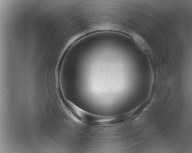X0000060781238200511101331