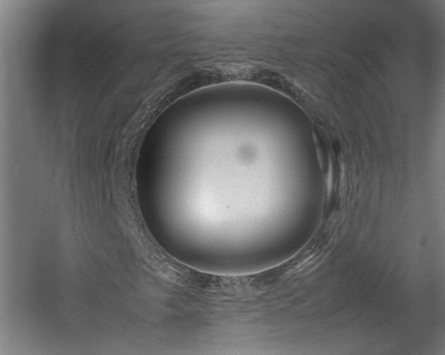 X0000060781249200511101331