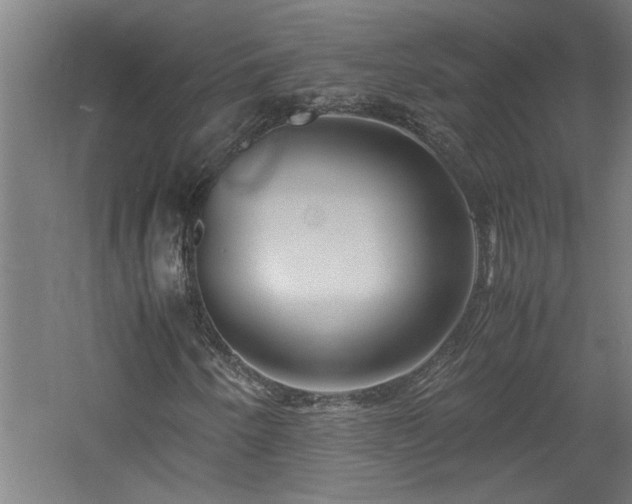X0000060781250200511101331