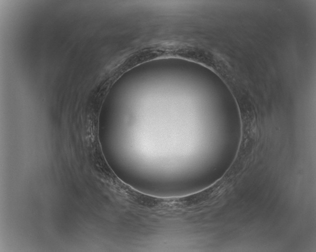 X0000060781253200511101330