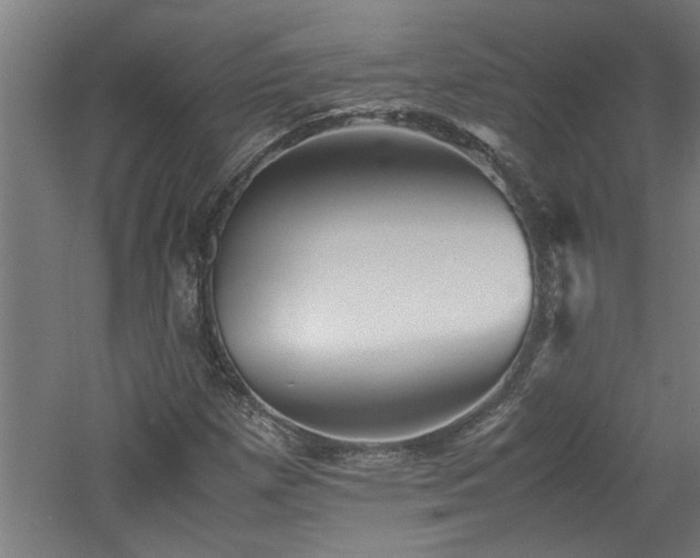 X0000060781257200511101330